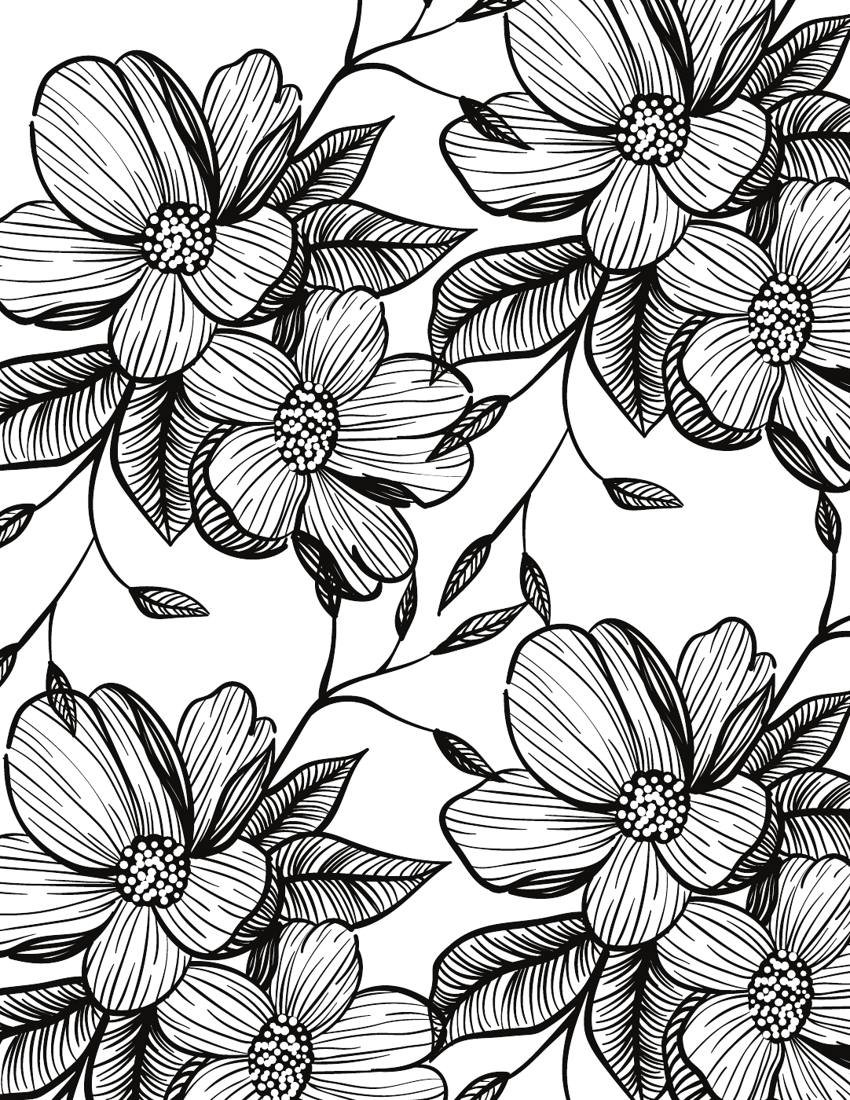 Inside page from 50 Calming Flowers Adult Coloring Book