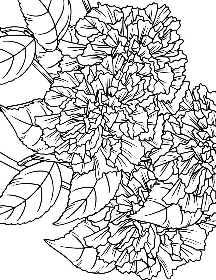 Inside page from 50 Calming Flowers Adult Coloring Book