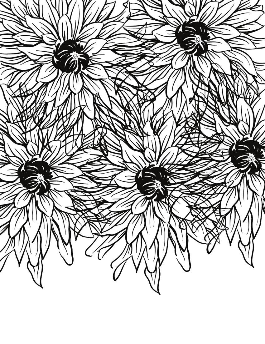Inside page from 50 Calming Flowers Adult Coloring Book